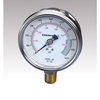 Pressure gauge GP10S